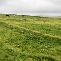 Shetland 039 come oggetto avanzato-1 copia